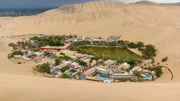 Tour Paracas Huacachina Full Day​